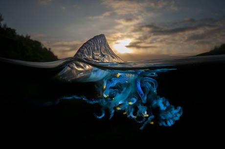 Univers parallèles : que se cache t-il sous les vagues? Univers parallèles : que se cache t-il sous les vagues?
