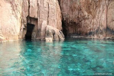 Piscine naturelle Piscine naturelle