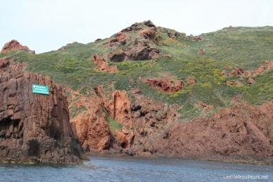 La réserve de Scandola La réserve de Scandola