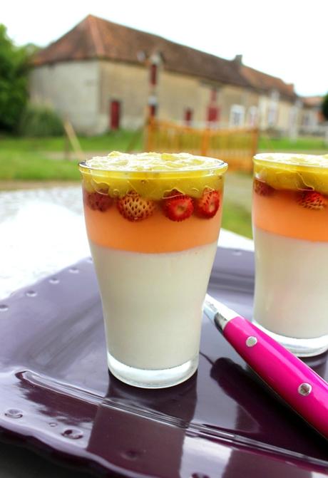 Pana cotta, gelée de rhubarbe aux fraises des bois Pana cotta rhubarbe fraise des bois (3)