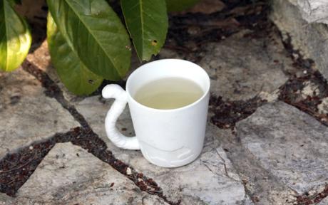 Coup de coeur de Juin : le thé vert Hanami