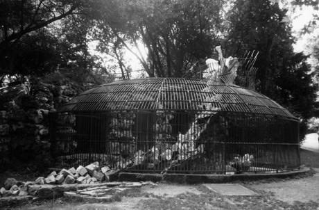 MARSEILLE : ZOO FANTÔME MARSEILLE : ZOO FANTÔME