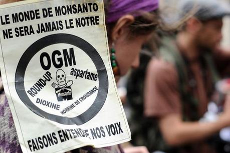 Ségolène Royal demande aux jardineries de ne plus vendre le Roundup de Monsanto Des manifestants anti-Monsanto, le 23 mai 2015 à Toulouse