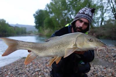 Sympathy for the Devils Sympathy for the Devils