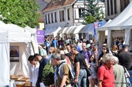 Mineral & Gem 2015, un événement exceptionnel en terres d’Alsace Mineral&Gem_Visiteurs_1