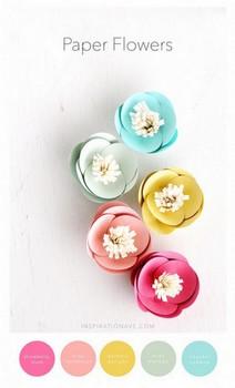 Carte Scrap #254 combo12