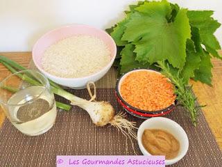 Feuilles de vigne farcies au riz et aux lentilles corail (Vegan)