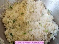 Feuilles de vigne farcies au riz et aux lentilles corail (Vegan)