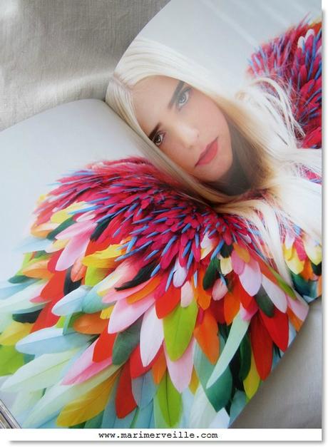 métiers d'art de la mode - le plumassier 3- Marimerveille
