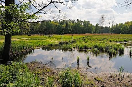 Jokehnen, Chronique d'un village des confins allemands - Arno Surminski Jokehnen, Chronique d'un village des confins allemands - Arno Surminski