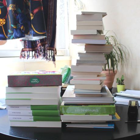 #viedentrepreneure (en vélo) Quand je ramène tout ça de bouquins… pile-de-livres