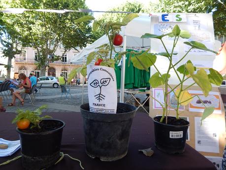 Alternatiba a fait escale à Sète Alternatiba a fait escale à Sète