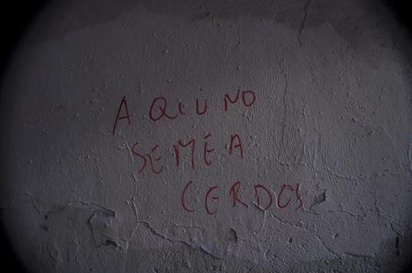 Aquí No Se Mea Cerdos Aquí No Se Mea Cerdos