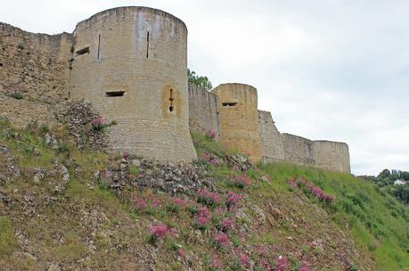 Une visite au Château de Falaise Château de Falaise