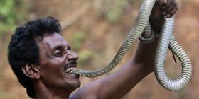 Ayo et la double imposture L'avaleur de serpent