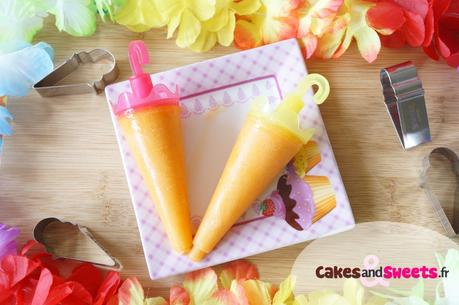 Sorbet Melon Abricot Sorbet Melon Abricot
