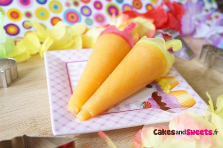 Sorbet Melon Abricot Sorbet Melon Abricot