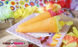 Sorbet Melon Abricot Sorbet Melon Abricot