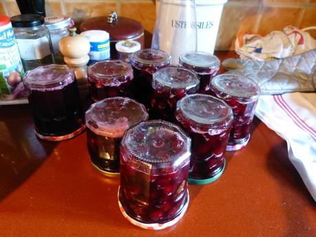 Confiture de cerises avec noyaux et feuilles de menthe. P1170043