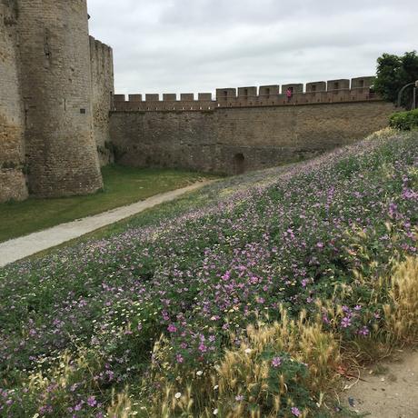 Trèbes / Carcassonne #MeetUpLeBoat Trèbes / Carcassonne #MeetUpLeBoat