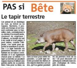 {projet journal} Du Tapir Terrestre au Maki Catta...