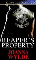 Reapers Motorcycle Club, tome 1 : Possesseur de Joanna Wilde Reapers Motorcycle Club, tome 1 : Possesseur de Joanna Wilde