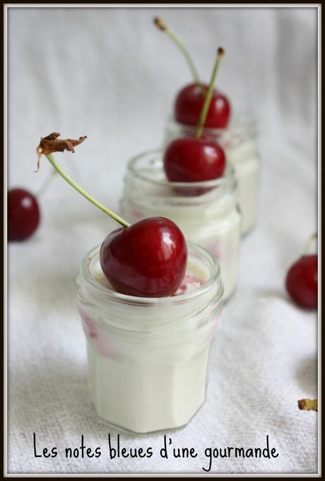 Pannacotta_framboise_coco_Les_notes_bleues_d_une_gourmande