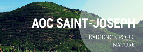 [Concours Inside #5] A la découverte de l’appellation Saint-Joseph (2 gagnants)