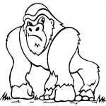 dessin de gorille dessin de gorille