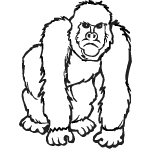 dessin de gorille dessin de gorille