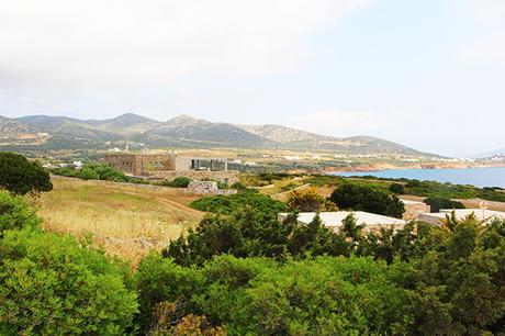 paros-vegetation2