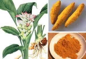 Curcumine et ostéoporose curcumine