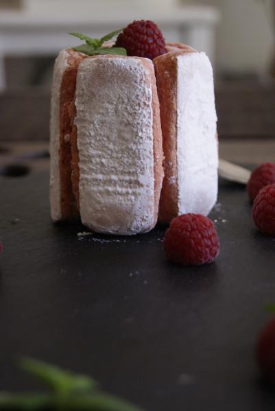 Charlotte au chocolat et framboises.