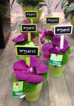 Fin d'ecole- 5eme saison_03 Fin d'ecole- 5eme saison_03