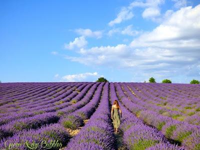 Au milieu des lavandes