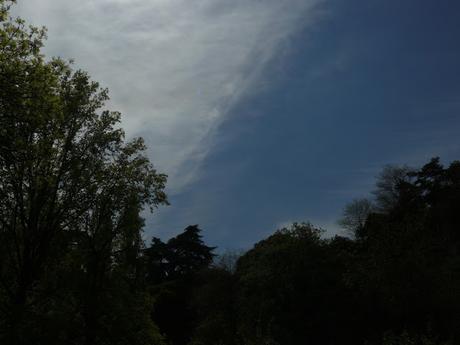 Survivre à la canicule