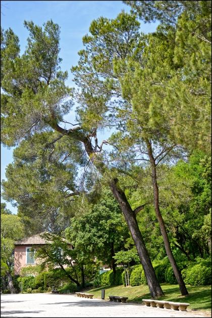 #Jardins de la Fontaine, # Nîmes, # Philippe Ibars, # Languedoc Roussillon, # Sud de France