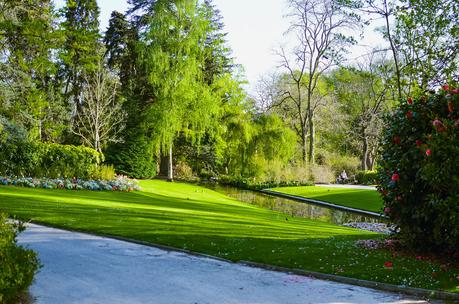 Jardin des plantes