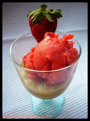 Sorbet fraises compote rhubarbe C'est beau l'amitié!