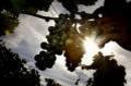 Vendanges