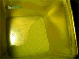 Cake aux pistaches, noisettes et chocolat noir Image Hosted by ImageShack.us