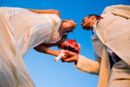 conseil, création, organisation complète, coordination...en