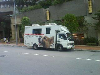 Culture chinoise en vrac