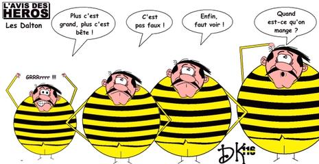 L'avis des Héros : les frères Dalton