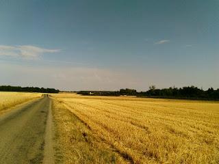 Vélo-route du Saint-Jacques, Maintenon- Chateaudun : grands espaces et champs de blé!