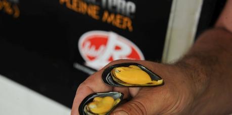 Charente-Maritime : la moule label rouge est arrivée Charente-Maritime : la moule label rouge est arrivée
