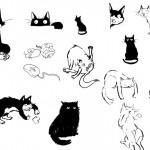 illustration de chat