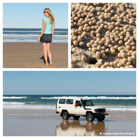 Une journée d’adrénaline en famille sur Fraser Island 75 Mile Beach, Fraser Island - 2012
