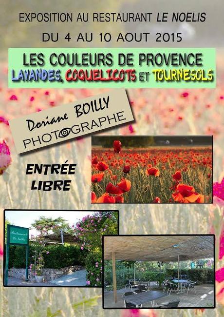 Nouvelle expo de photos 11667426_862463437134919_7630925228161242191_n