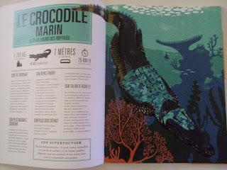 Animaux super-héros Animaux super-héros